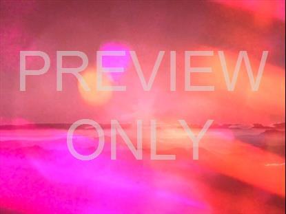 REFRACTED NATURE STILL 09