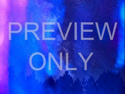 REFRACTED NATURE STILL 11