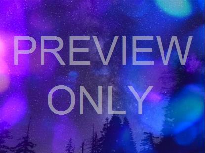 REFRACTED NATURE STILL 12