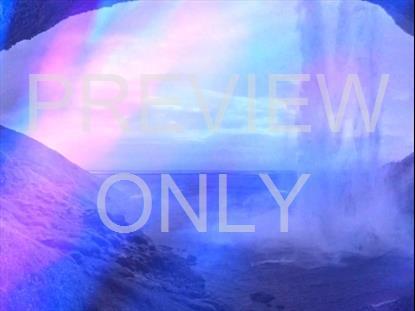 REFRACTED NATURE STILL 13