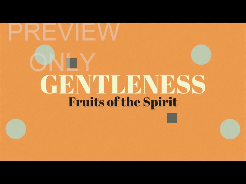 RETRO COLOR GENTLENESS