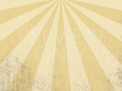 RETRO SUMMER SUN STILL 03