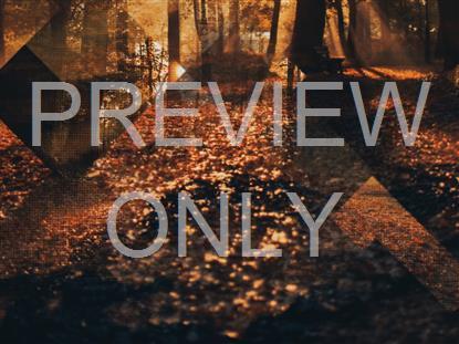 RUSTIC AUTUMN STILL 10