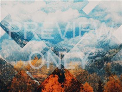 RUSTIC AUTUMN STILL 2