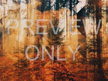 RUSTIC AUTUMN STILL 5