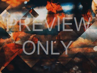 RUSTIC AUTUMN STILL 8