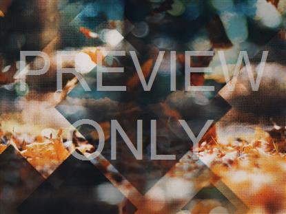 RUSTIC AUTUMN STILL 9