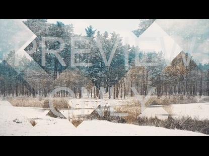 RUSTIC CHRISTMAS 01 STILL