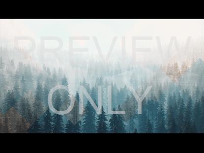 RUSTIC CHRISTMAS 03 STILL