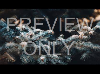 RUSTIC CHRISTMAS 04 STILL