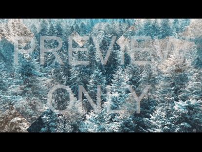 RUSTIC CHRISTMAS 07 STILL