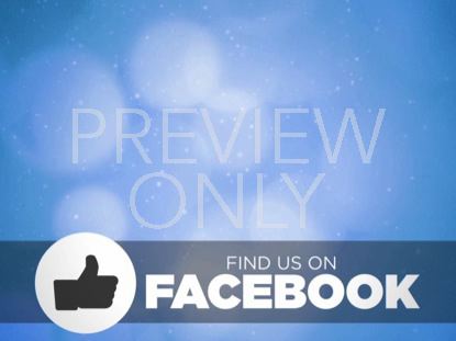 SPRING BOKEH FACEBOOK