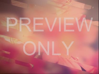 SPRING JOURNEY 02 STILL