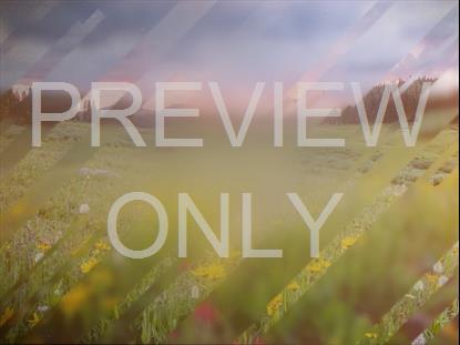 SPRING JOURNEY 05 STILL