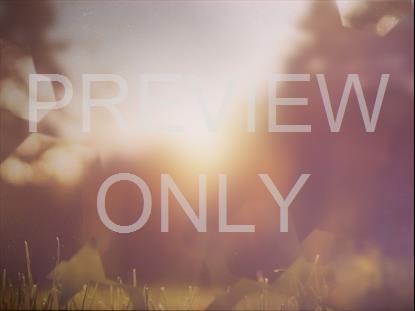 SPRING JOURNEY 08 STILL