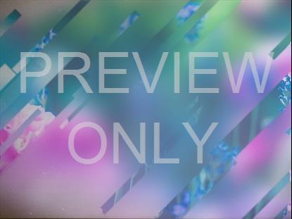 SPRING JOURNEY 09 STILL