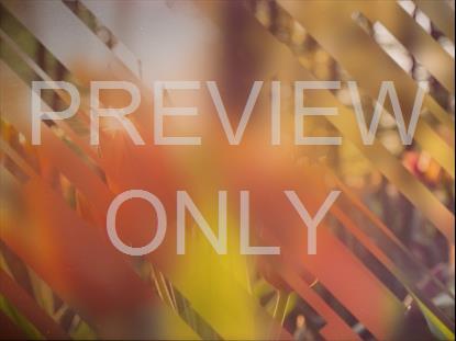 SPRING JOURNEY 10 STILL