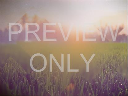 SPRING JOURNEY 11 STILL