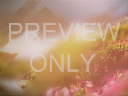 SPRING JOURNEY 12 STILL