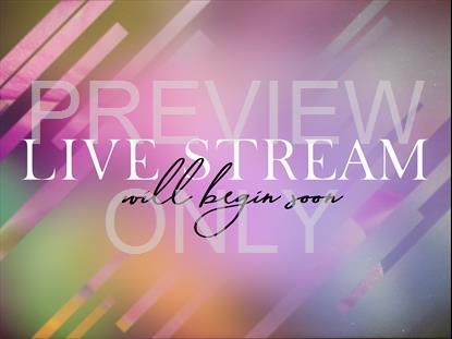 SPRING JOURNEY LIVE STREAM STILL