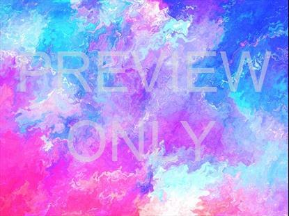 SPRING PAINT 03 STILL