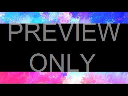 SPRING PAINT 13 STILL