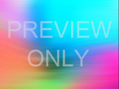 SPRING WARP 01 STILL