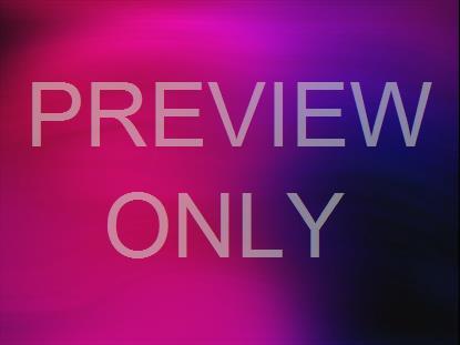 SPRING WARP 03 STILL