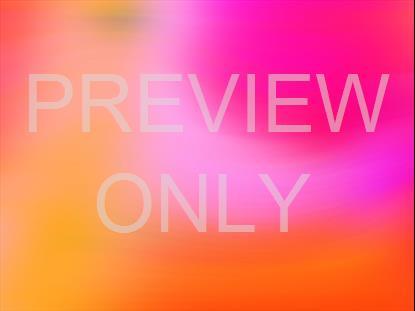 SPRING WARP 04 STILL