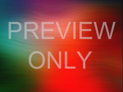 SPRING WARP 05 STILL