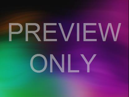 SPRING WARP 06 STILL