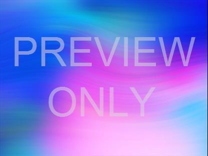 SPRING WARP 08 STILL