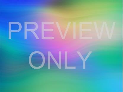 SPRING WARP 09 STILL