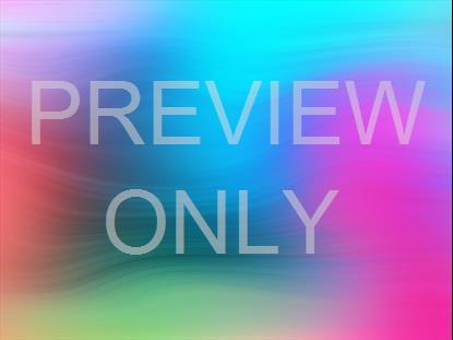 SPRING WARP 11 STILL