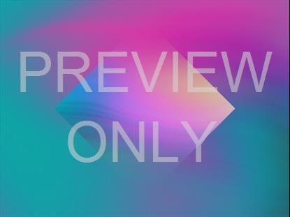 SPRING WARP 17 STILL