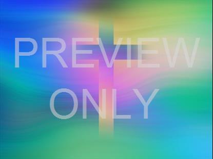 SPRING WARP 19 STILL