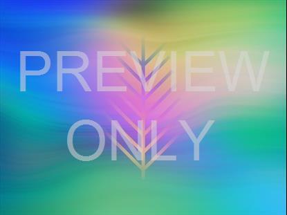 SPRING WARP PALM SUNDAY BLANK STILL