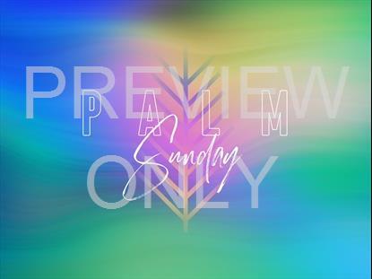 SPRING WARP PALM SUNDAY STILL