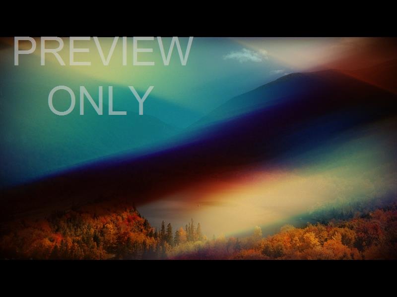 Subtle Fall Service Pack | Centerline New Media | Playback Media Store