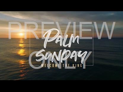 SUNRISE OCEAN PALM SUNDAY STILL