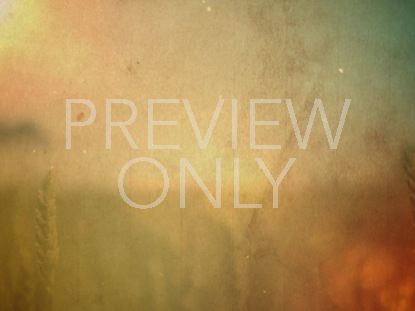 THANKSGIVING WELCOME BLANK