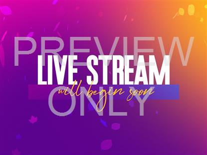 VIBRANT FALL LIVE STREAM