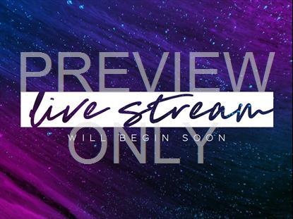 VIBRANT DUST LIVE STREAM STILL