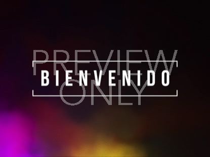 VIBRANT FOG BIENVENIDO
