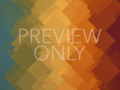 VINTAGE FALL 07 STILL