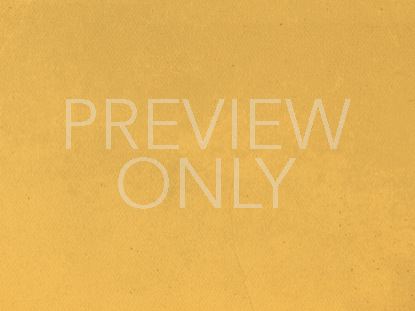 VINTAGE FALL YELLOW STILL