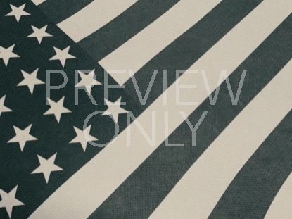 VINTAGE WAVING AMERICAN FLAG 05
