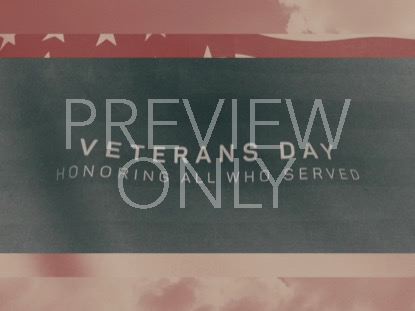 VINTAGE WAVING AMERICAN FLAG VETERANS DAY