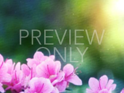 WATERCOLOR AZALEA 01