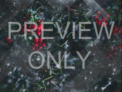 WINTER JOURNEY 01 STILL